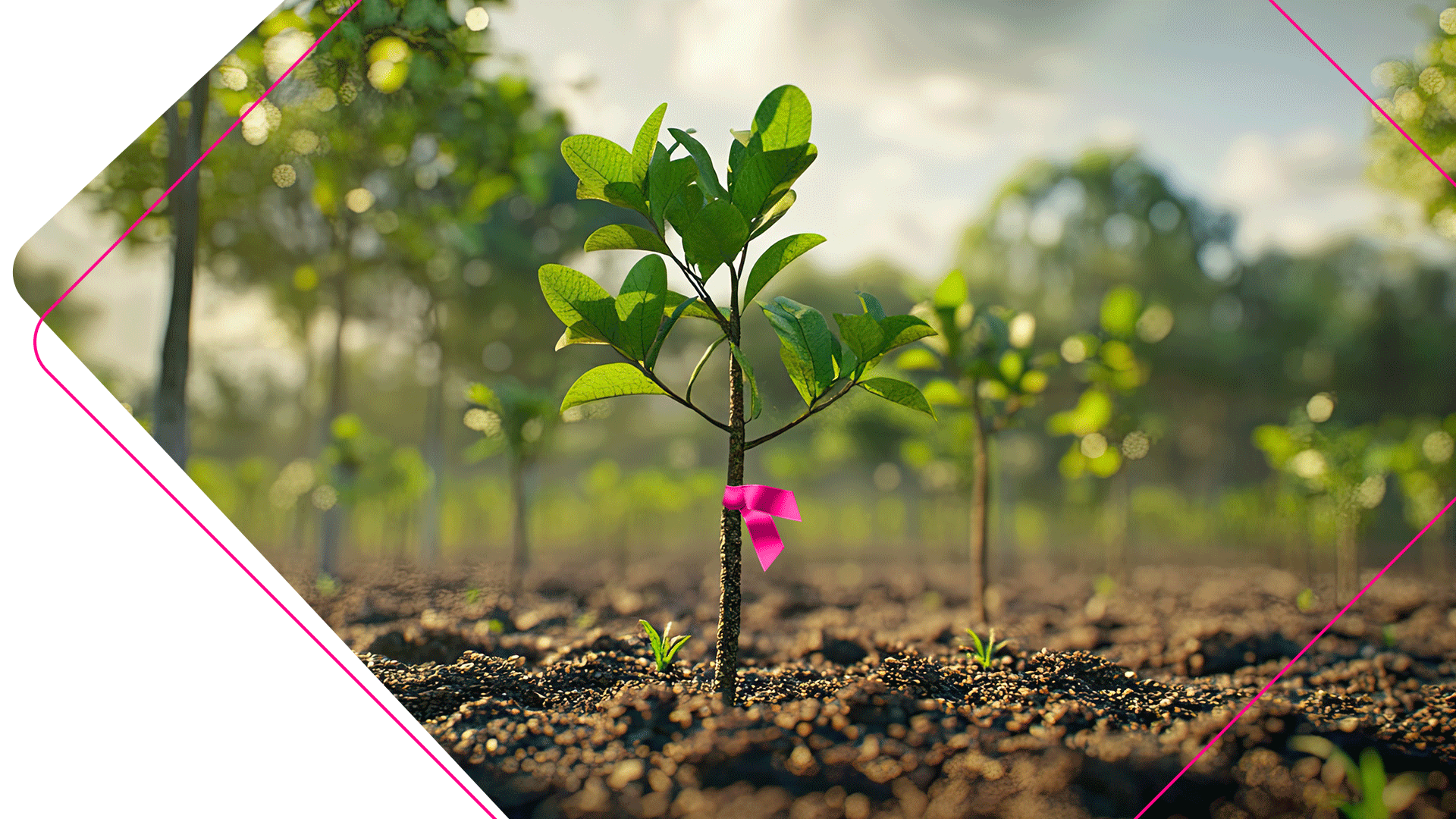 Nachhaltigkeit bei Huber